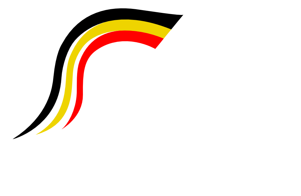 Logo Démocratie Nationale - DN