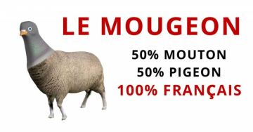Le Mougeon 50 % mouton 50 % pigeon
